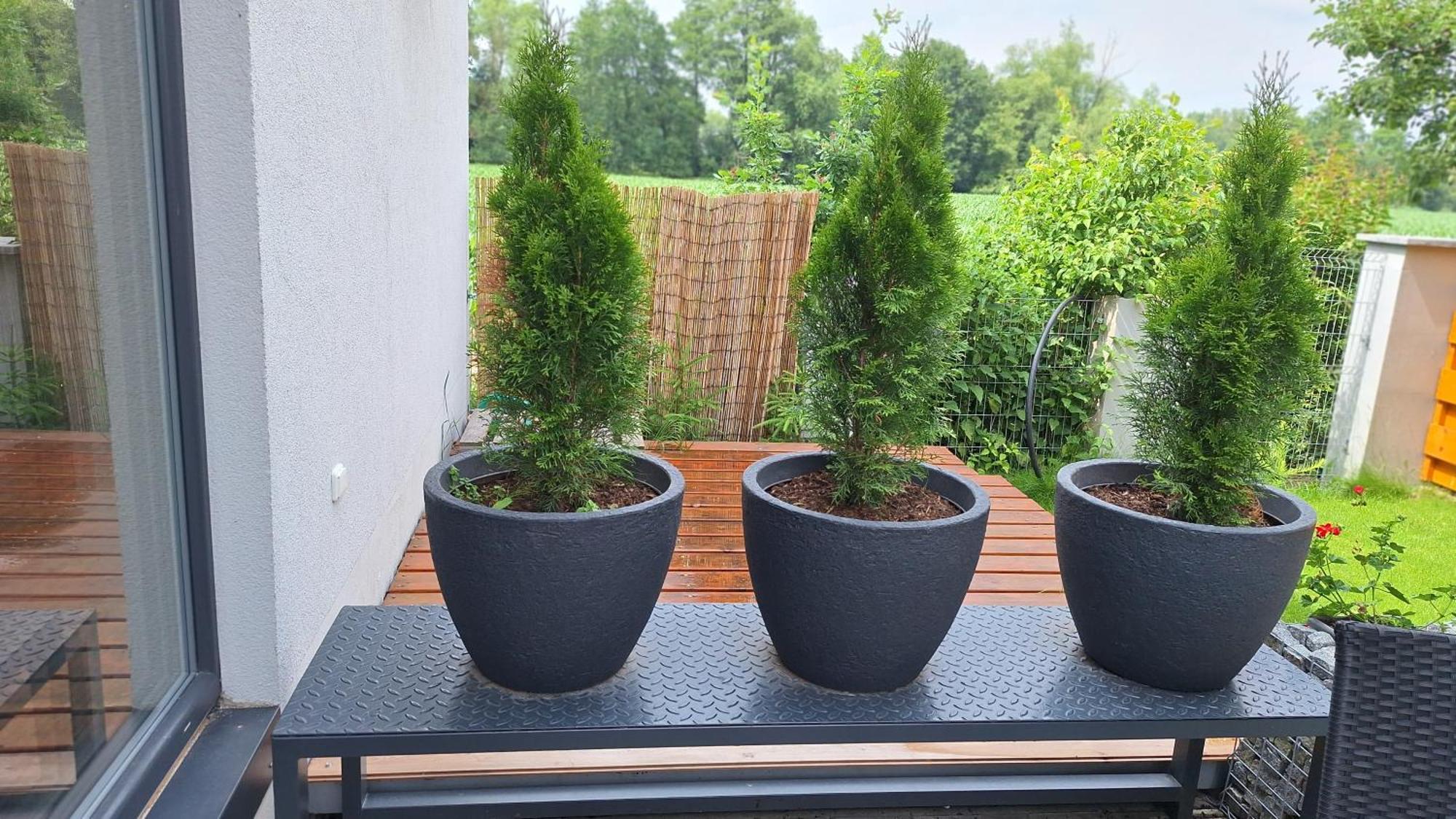 Bungalov Na Brehu Labe S Vlastnim Molem Pardubice Exterior foto